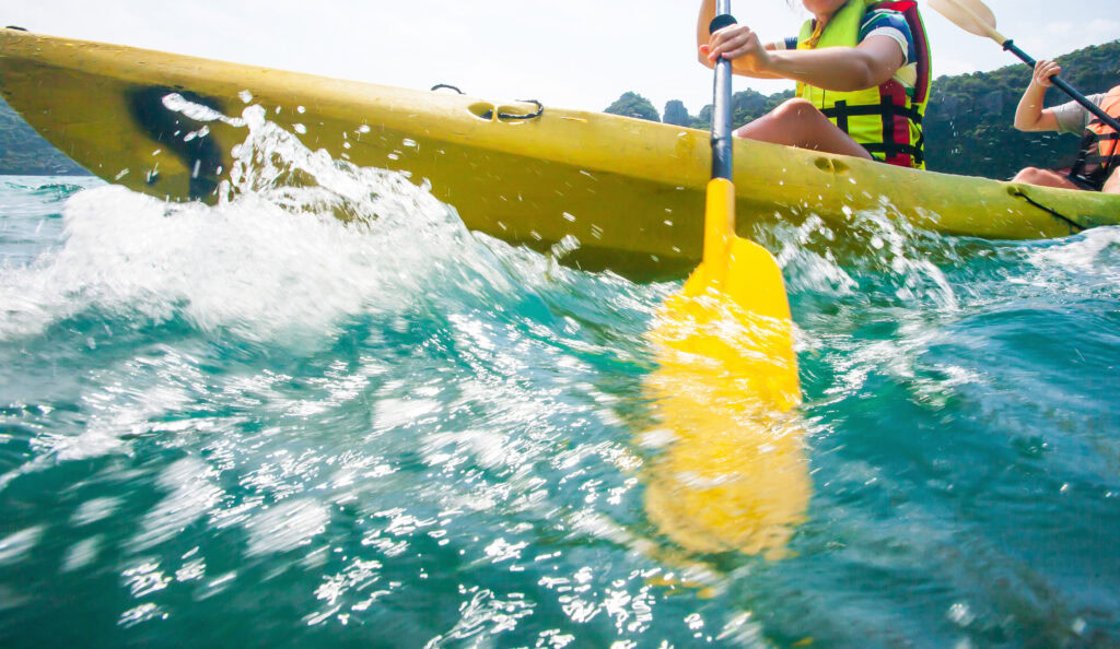 AdobeStock 268472205 20 Best Things to Do in Mandurah: A Guide for ibis Styles East Perth Guests 25